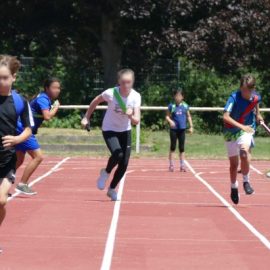 Sommer, Sonne und Sport: Erfolgreiche Bundesjugendspiele des Schönborn-Gymnasiums
