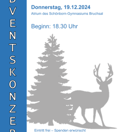 Adventskonzert am Do 19.12.24