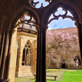Ausflug der siebten Klassen zum Kloster Maulbronn Ausflug der siebten Klassen zum Kloster Maulbronn